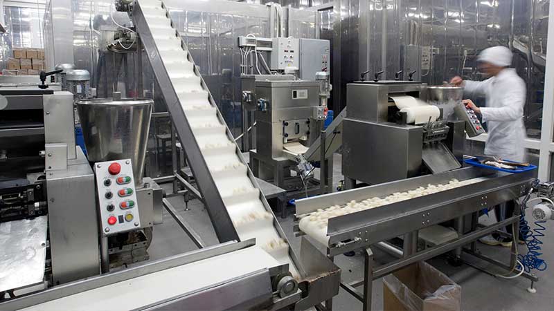 Food manufacturing line